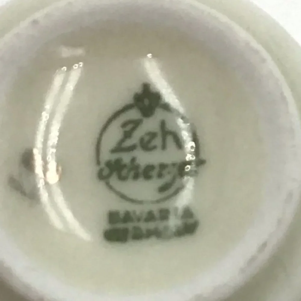 Vintage Zeh Scherzer Bavaria Germany Tea Cup and Saucer